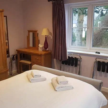 Beech Bowness-on-Windermere