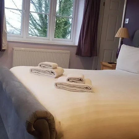 Beech Bowness-on-Windermere