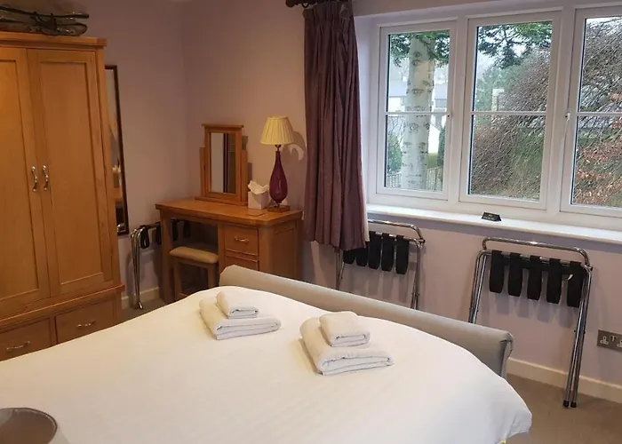 Beech 鲍内斯温德米尔